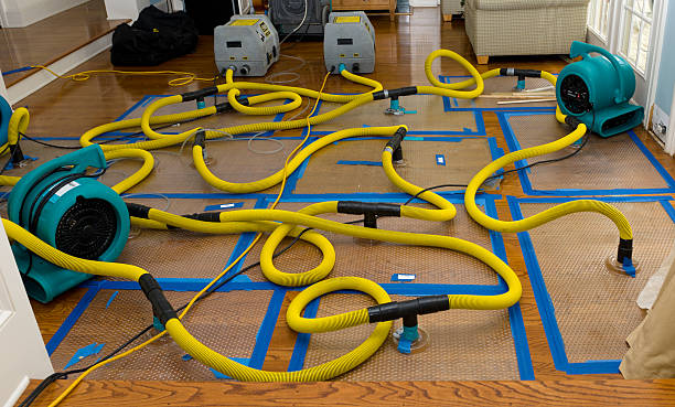 Professional Structural Drying And Dehumidification technician working in Stotts City, MO